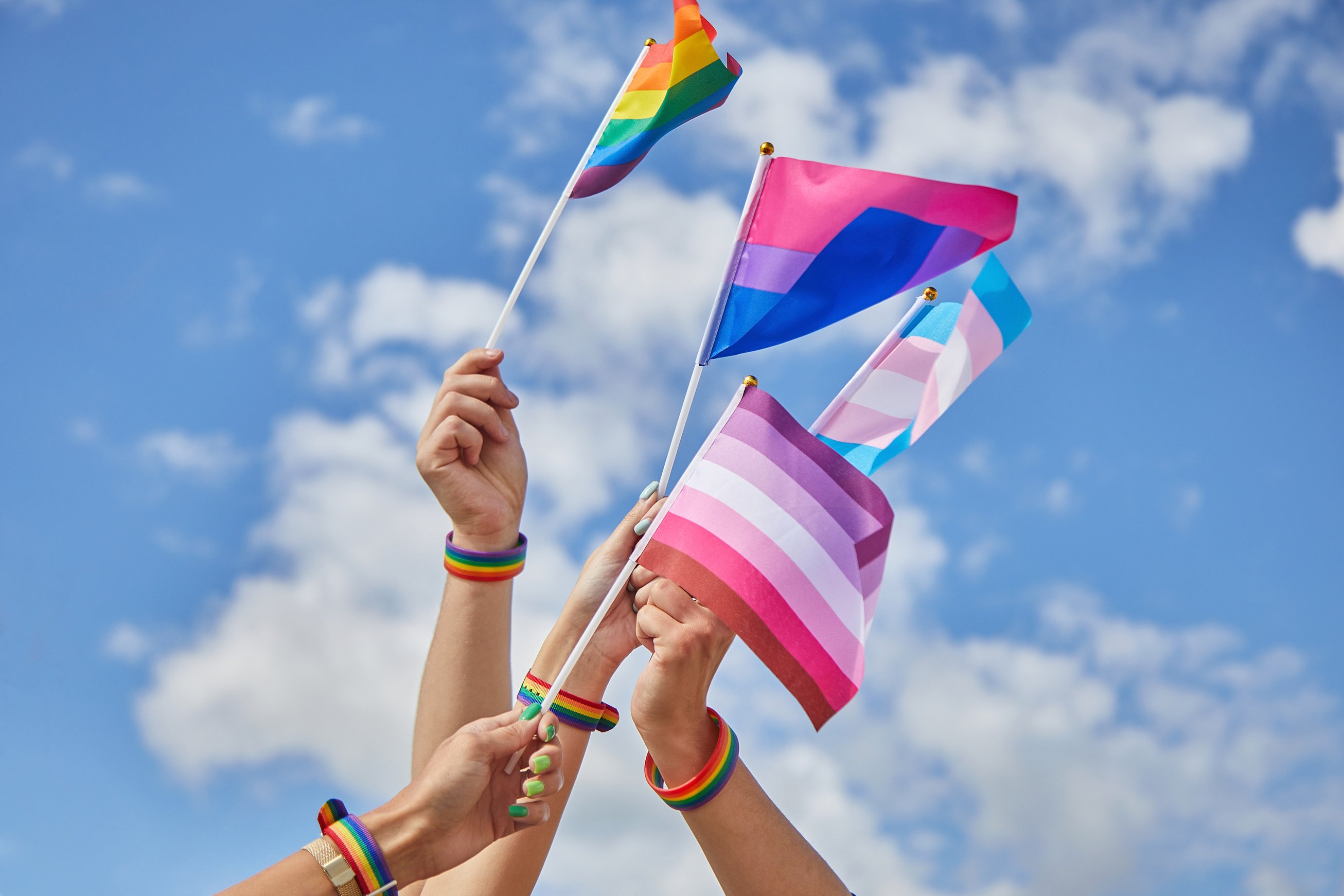 Hands Holding Different Flags of LGBTQ+